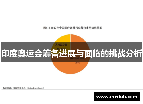 印度奥运会筹备进展与面临的挑战分析
